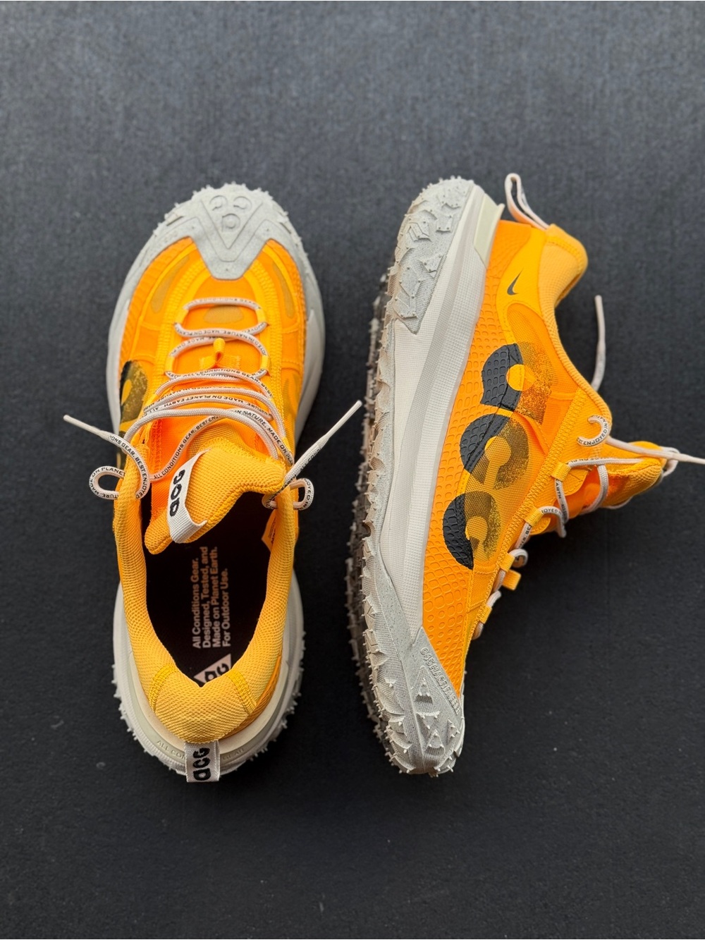 Nike ACG Mountain Fly 2 low (men’s 10)